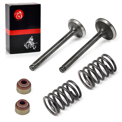 Intake Exhaust Valve Seal Spring Kit for Club Car Golf Cart FE290 1992-Up 1016447 1016448