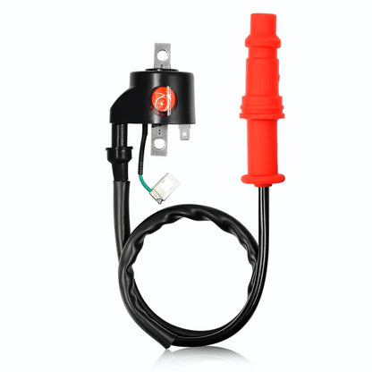 Ignition Coil & CDI Box 8 Pin Spark Plug for Polaris Sportsman 500 1996-2001 3085564 3085228