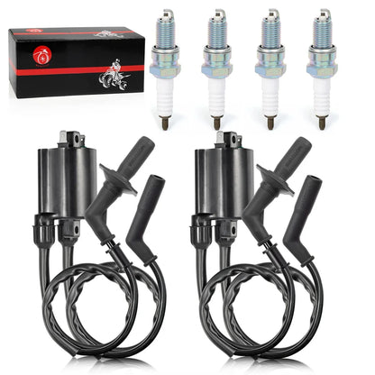 Ignition Coil Pack & Spark Plug + Cap For Honda VT1100 Shadow 1987-2007