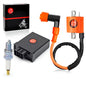 CDI Igniter and Ignition Coil for Yamaha Blaster 200 2003-2006