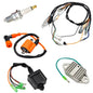 Ignition Coil CDI Regulator Wiring Harness Assembly for Yamaha Blaster 200 YFS200 1997-2001