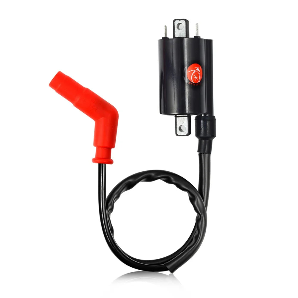 Ignition Coil and Spark Plug for Yamaha Raptor 700 2006-2018 4DN-82320-00-00 2UJ-82310-00-00