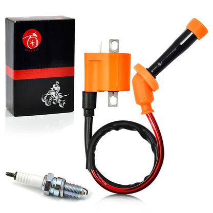 CDI Igniter Box and Ignition Coil for Yamaha Big Bear 350 YFM350FW 1990-1994