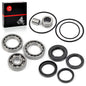 Rear Differential Bearings and Seals Kit 1988-2000 Honda FourTrax 300 TRX300 TRX300FW