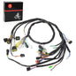 Main Electrical Wiring Wire Harness for Yamaha Raptor 660 YFM660R 2002-2004