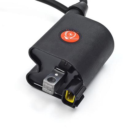 Ignition Coil with MCI Engine Module for EZGO 72866-G01 2003-2008 Golf Cart